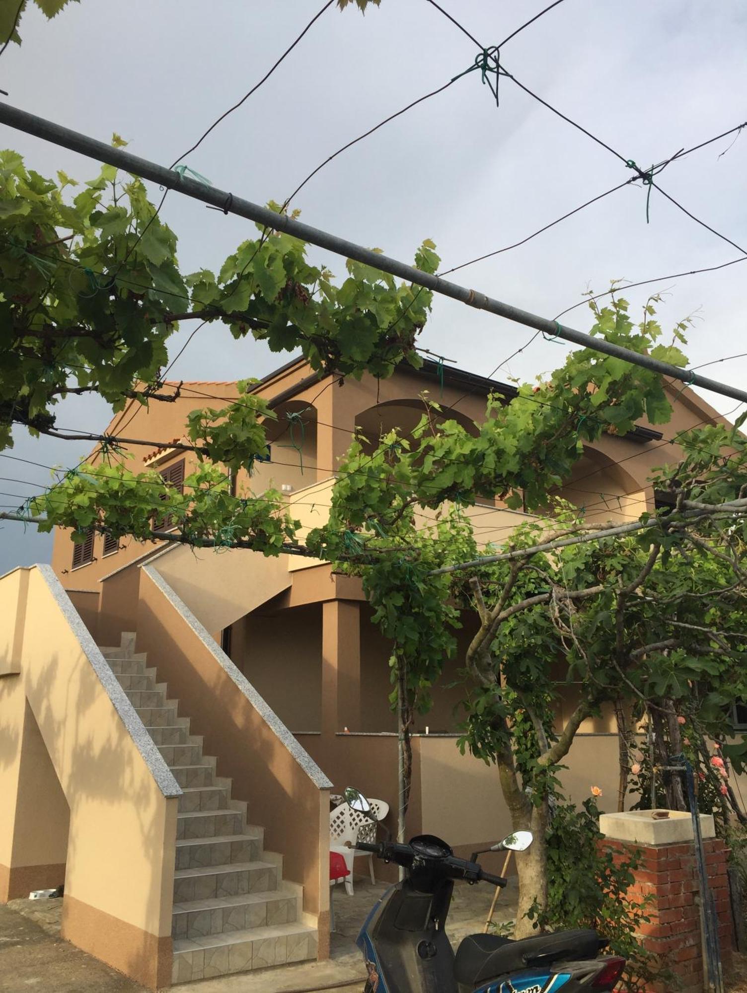 Apartments Anka นิน ภายนอก รูปภาพ